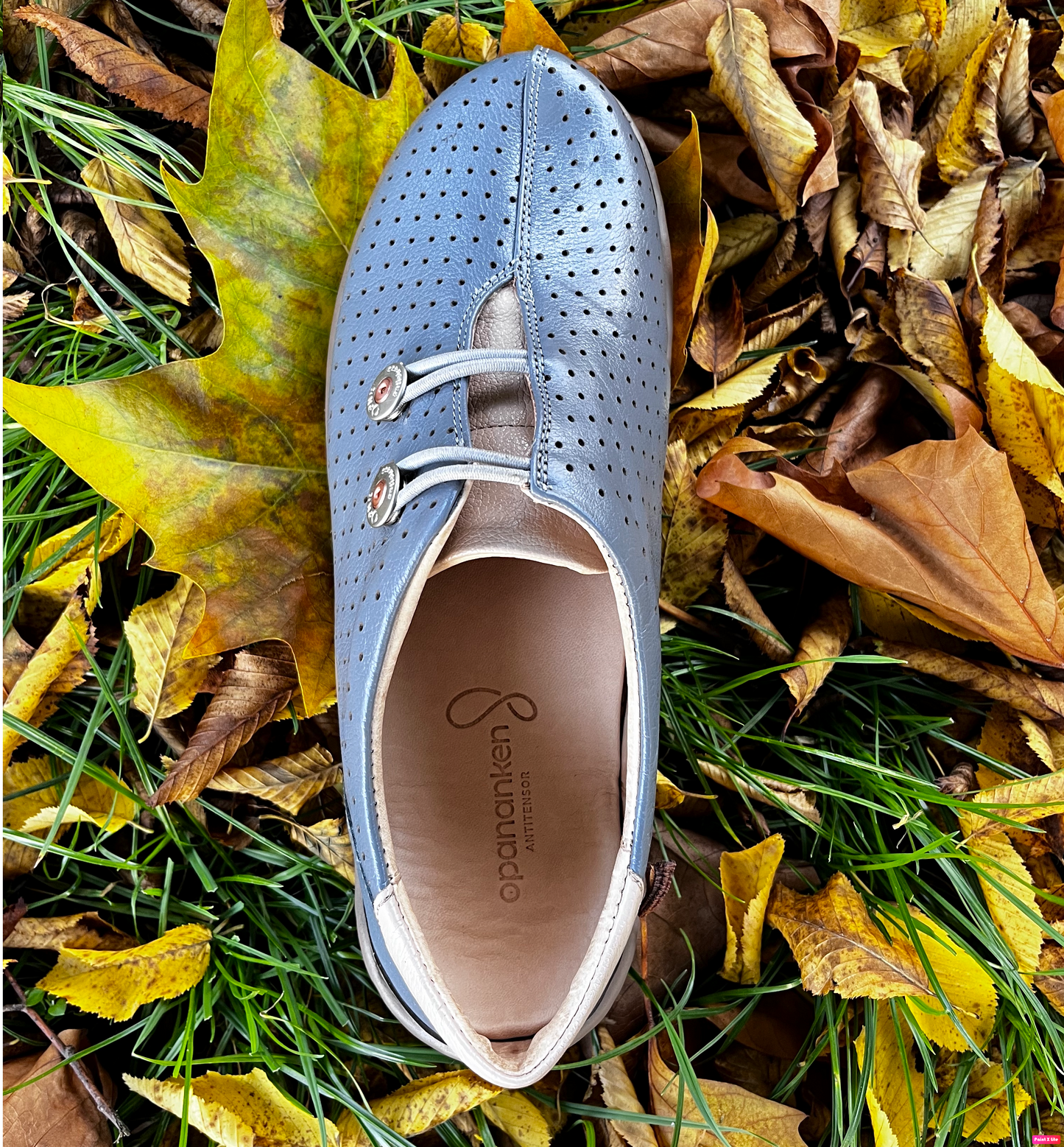 CHAUSSURES FEMMES CUIR BELL BALI DESERT 74508L1
